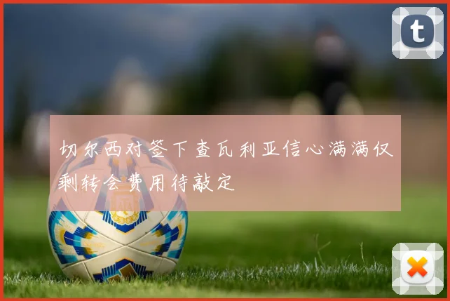 切尔西对签下查瓦利亚信心满满仅剩转会费用待敲定